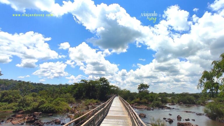 7 Cosas Únicas para HACER en IGUAZÚ cuando Llueve este 2025