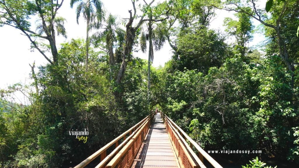 Cómo recorrer el Parque Nacional Iguazú