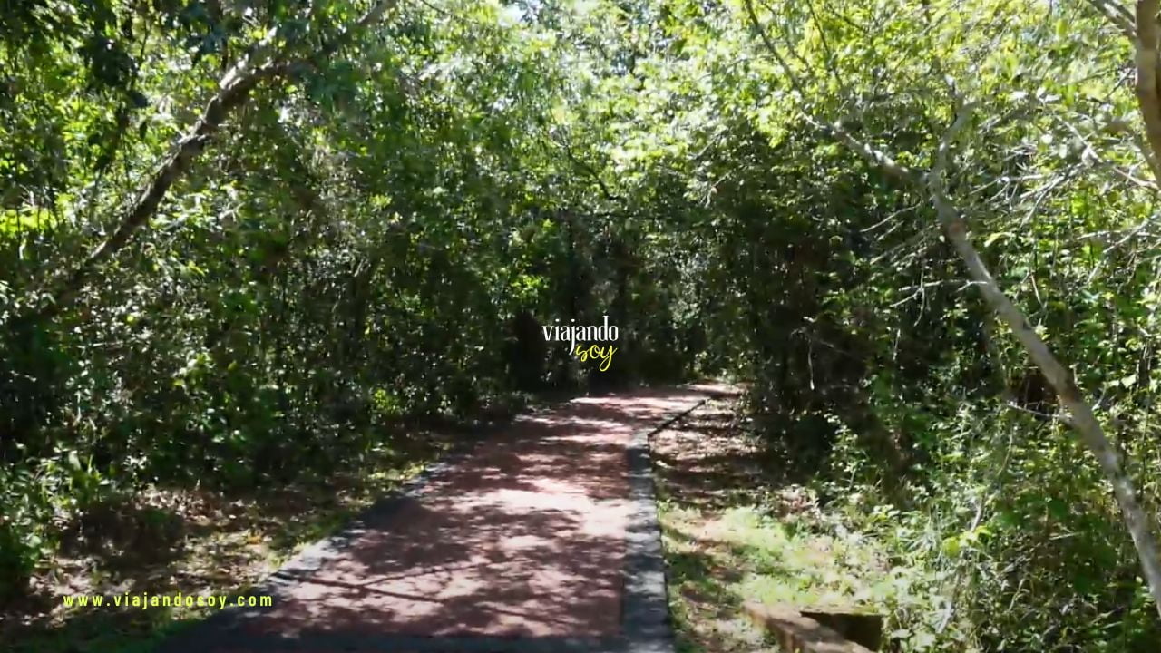 Así puedes recorrer el parque Nacional Iguazú en un solo día